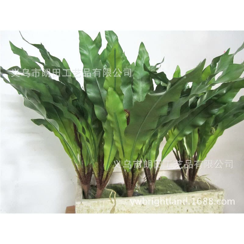 Artificial bird's nest, fern leaves, tactile leaves, fern leaves, artificial plant wall, potted plants, flower arrangement materials, floral grass manufacturer direct sales.
