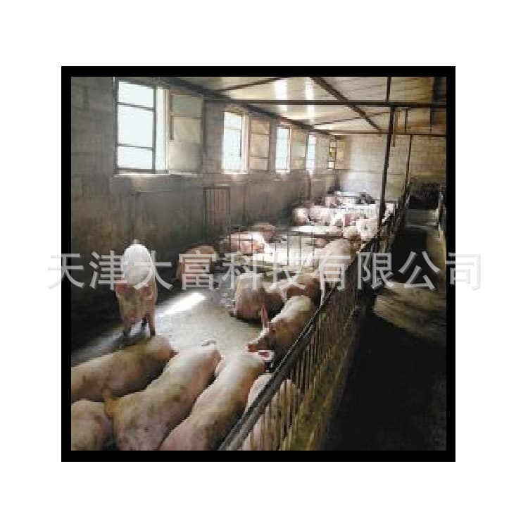 Dafu Agricultural Breeding Cold-Proof Insulation Film Aluminum Foil Pearl Cotton Insulation Moisture-Proof Pig House, etc.