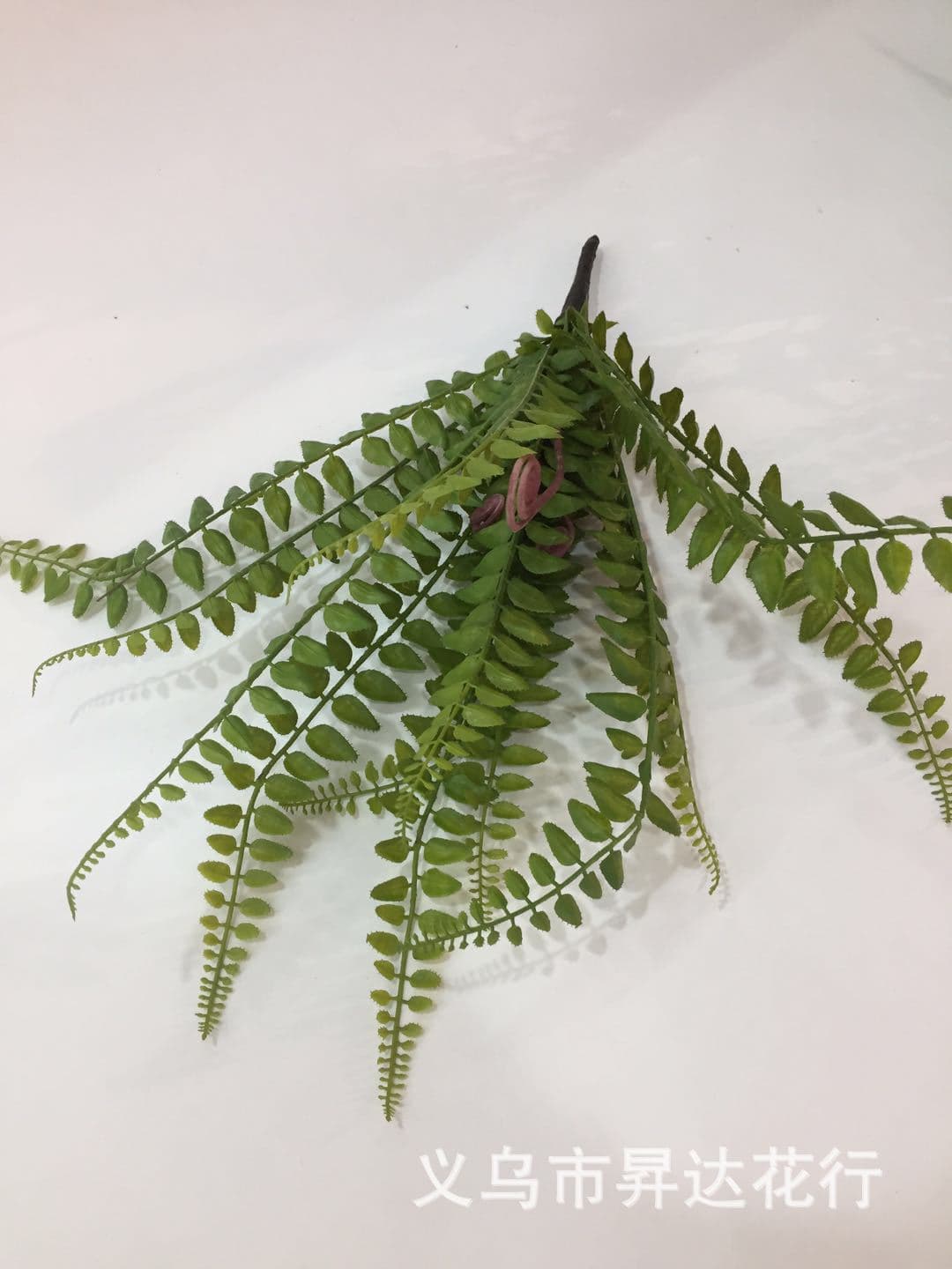 Factory Wholesale Artificial Tropical Fern Grass Persian Grass Hook Bud Phoenix Tail Fern Fake Grass Floral Arrangement Engineering Soft Decoration Material