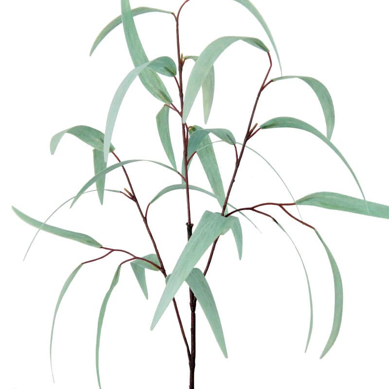 High-end Simulation Willow Branch Willow Leaf Vine Home Mall Farmhouse School Kindergarten Green Plant Plastic Artificial Willow Leaves