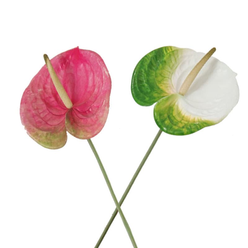 Nordic Ins Style Simulation Anthurium Flamingo Flower Artificial Anthurium Potted Home Decoration Wedding Flower Arrangement Export Supply