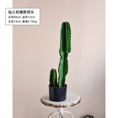 Artificial Landscape Decoration Hylocereus Cactus Plant Living Room Simulation Green Plant Potted Bonsai Bionic
