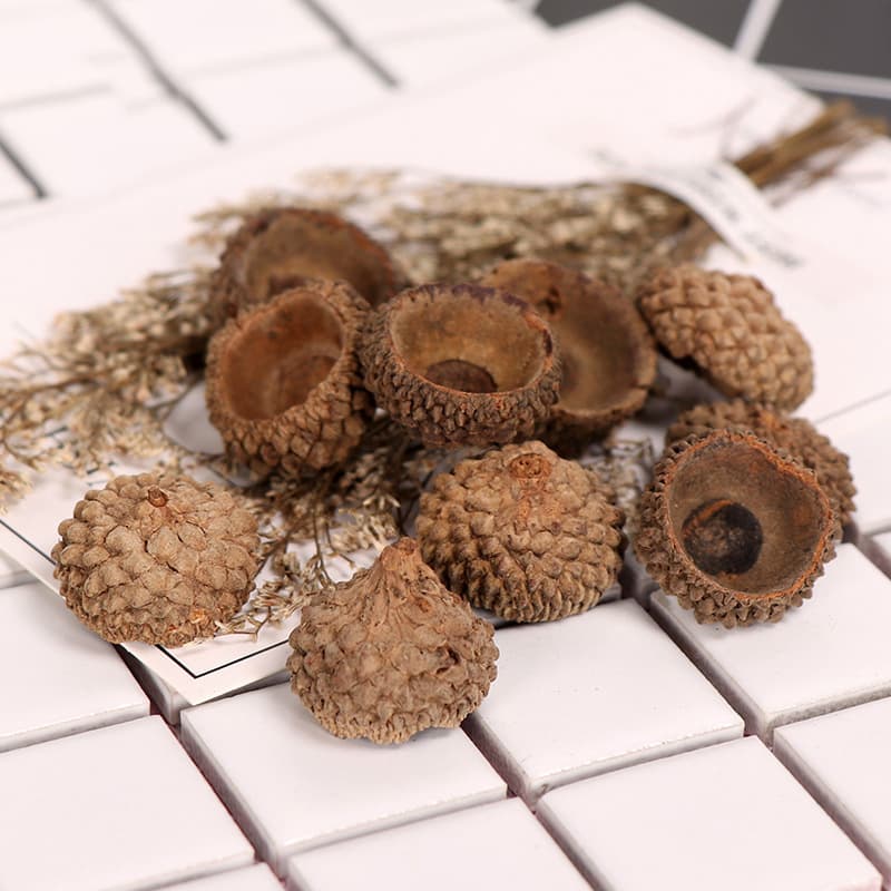 1-2.5CM Acorn Cap Acorn Shell Wholesale, Kindergarten DIY Dried Flower Materials Handcraft Props Real Acorn Cap