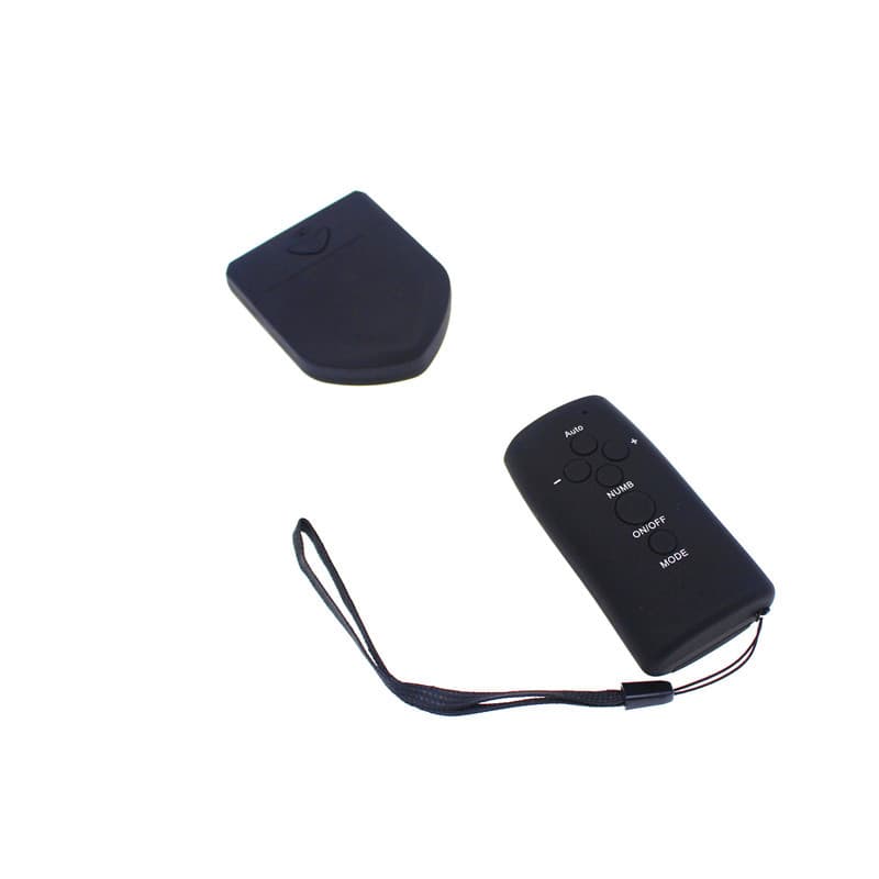 Electric shock battery wireless remote control host H06