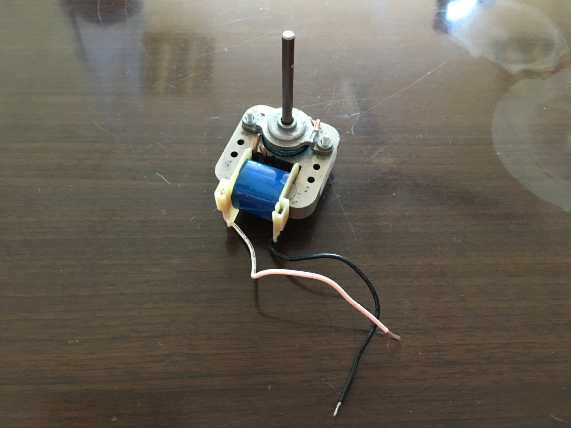 Our company has long supplied the 6113-006 shaded pole motor, widely used in cotton candy machines and other household appliances.