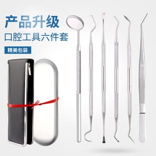 Dental Tool Dentist Tool 6-Piece Set Probe Tartar Remover Oral Care Oral Mirror Factory Stock