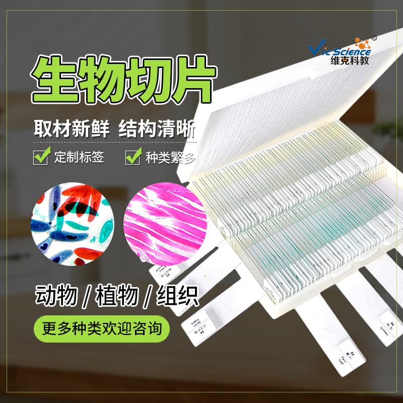 Biology Teaching Equipment - 100 Types of Animal and Plant Set - In Stock - Microscope Observation Slide Specimens