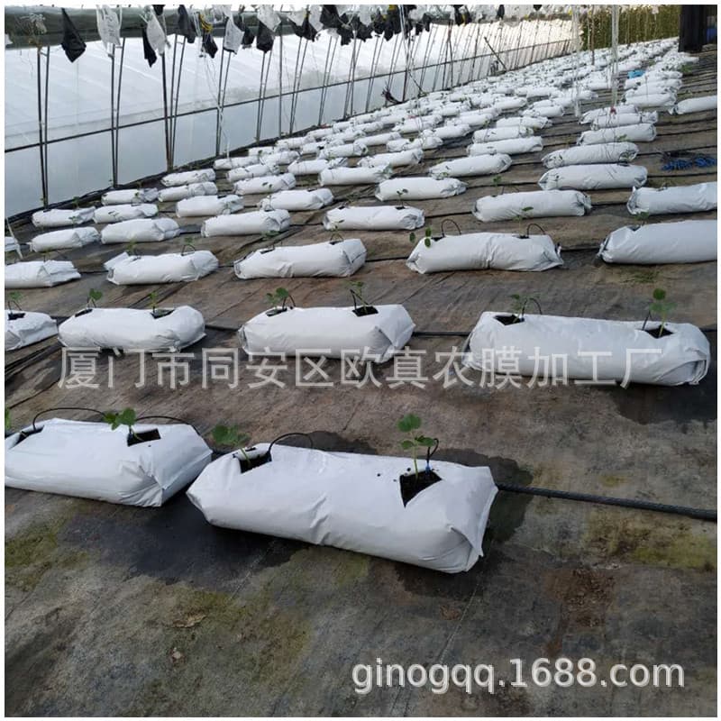 In-stock elongated tomato planting bags, horizontal planting, soilless cultivation substrate strips, heat preservation and anti-aging