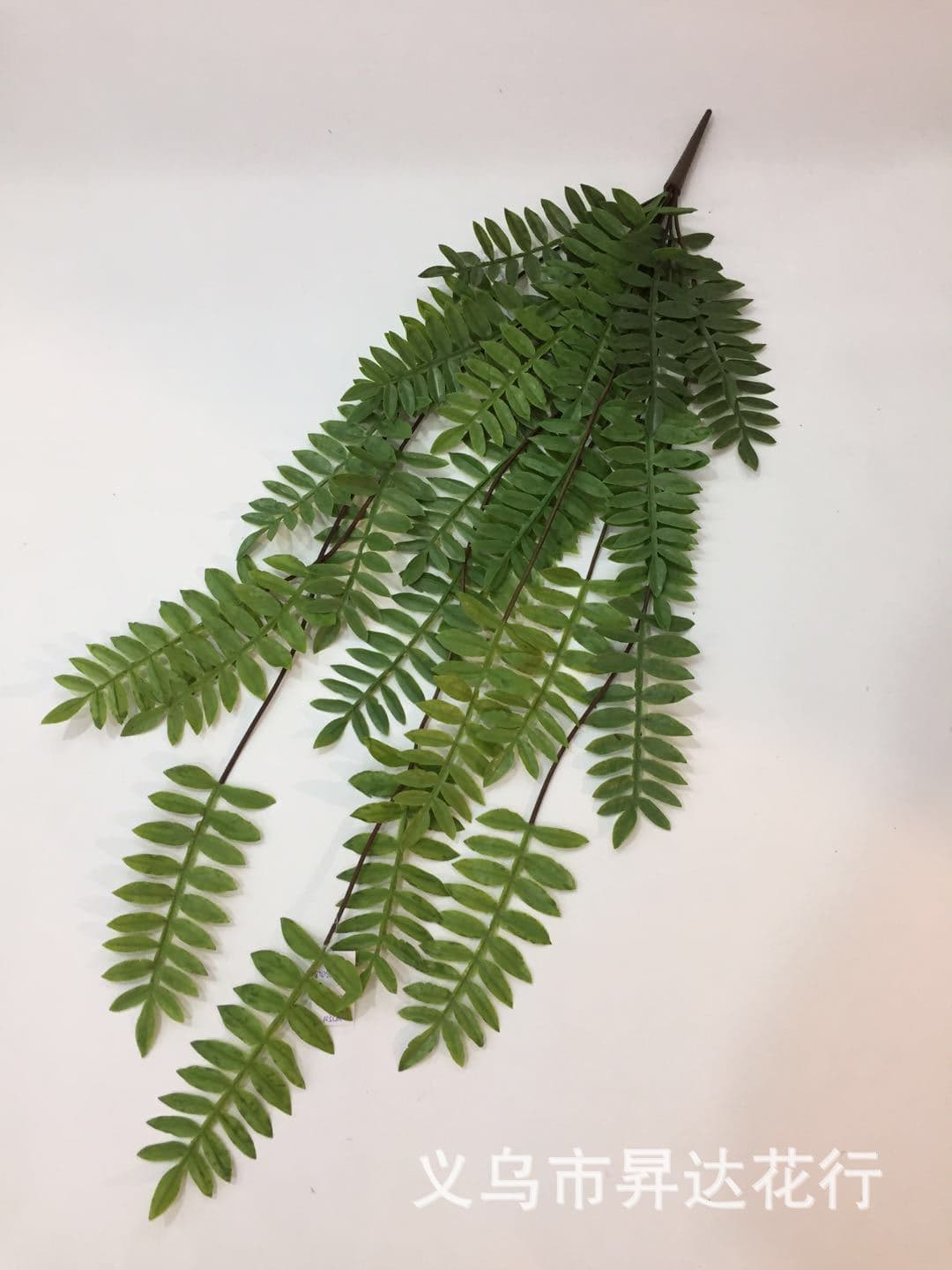 Artificial Soft Rubber Moss Fern Wall Hanging Decoration for Vertical Space, Fake Plant Wall Material