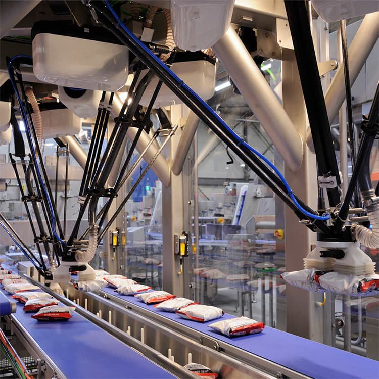 Parallel Robot Manipulator Spider Hand for Automatic Sorting and Arranging of Spicy Strips, French Fries, Candies, Boxing in Food Post-Processing