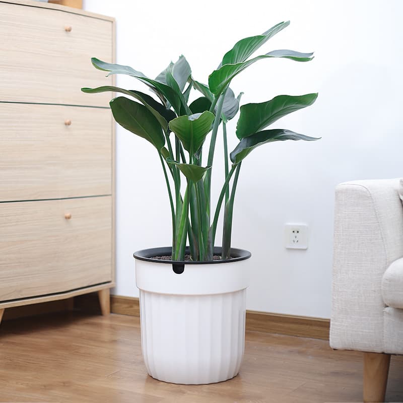 Meixuan automatic absorbent lazy large flower pot plastic PP resin white floor flower pot factory spot wholesale