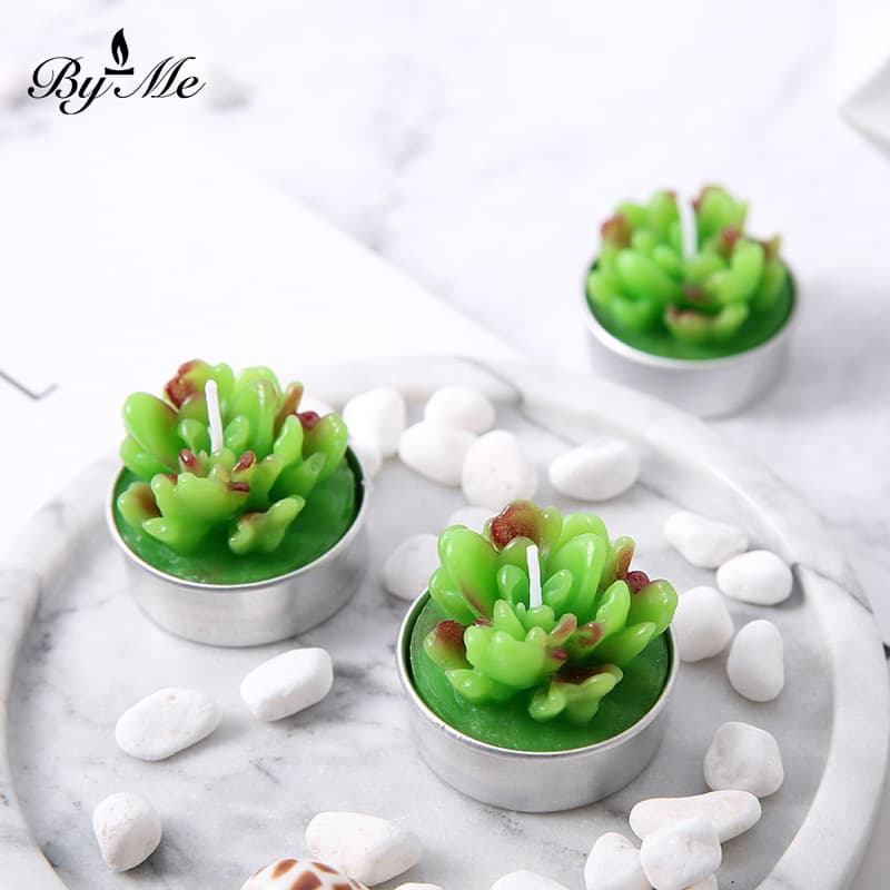 Byme Creative Candle Handmade Smoke-Free Artificial Plant Succulent Set Cactus Wholesale Handmade Aromatherapy