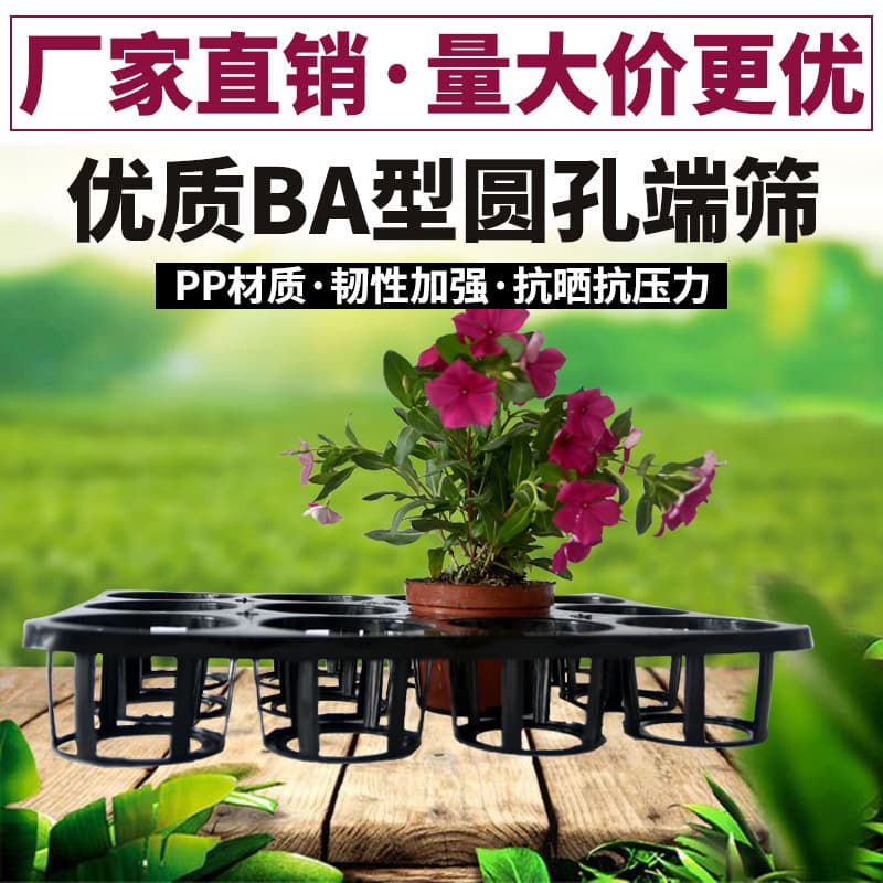 Orchid Phalaenopsis Tray Nutrient Cup Rotating Tray 3.5 inch 5 inch Phalaenopsis Planting Tray Orchid Seedling Tray