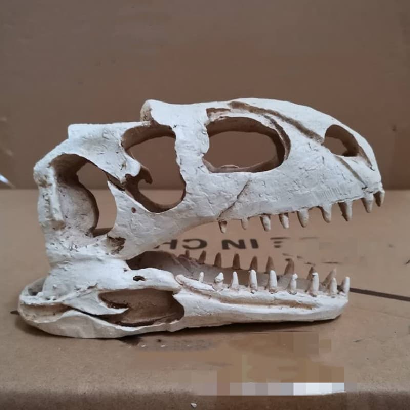 Fish tank aquarium landscaping decoration ornaments landscaping dinosaur resin skull reptile avoid aquarium decoration