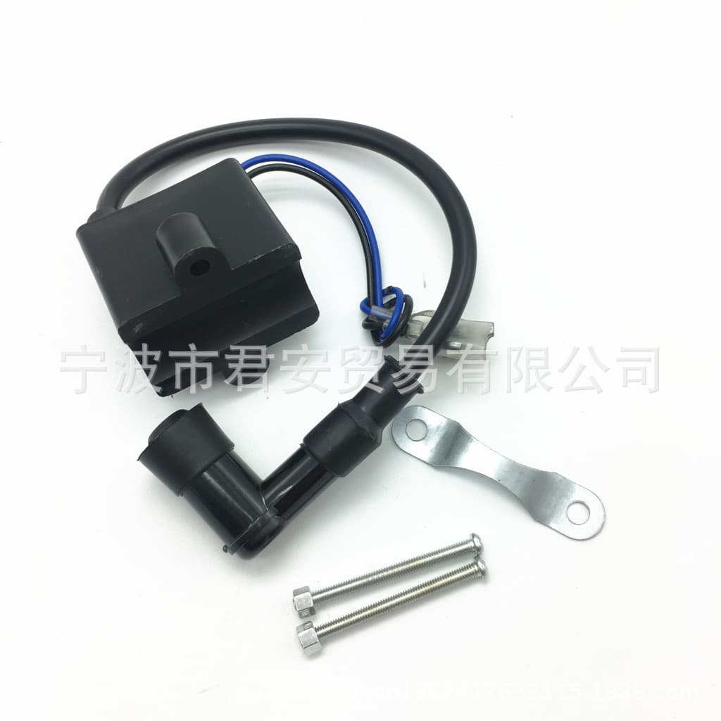 Bicycle Engine Ignition Coil High Voltage Package CDI 50cc 60cc 66cc 80cc BIKE