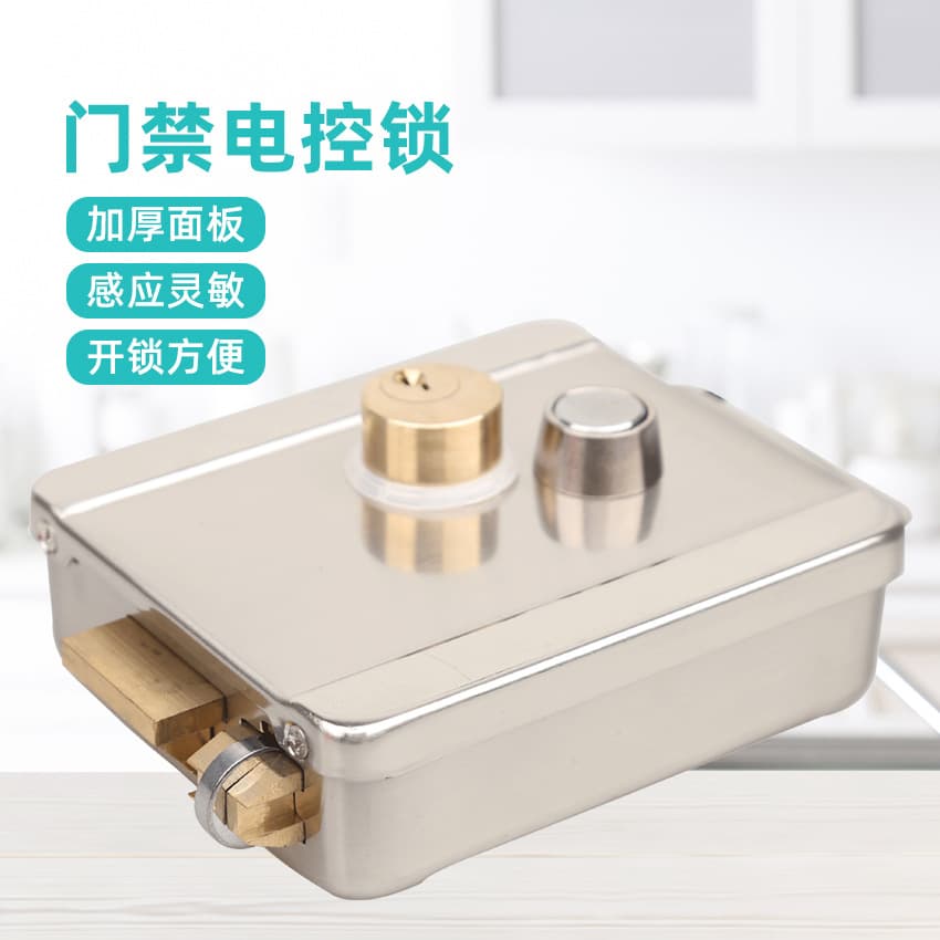 Lock manufacturer wholesale 1073 pulley electroplated brushed double-headed electric control lock 12V mechanical access control remote electric anti-theft lock