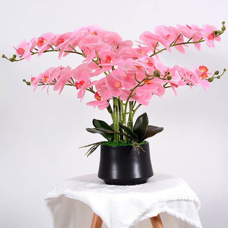 New high-end Phalaenopsis orchid simulated flower set fake flower bonsai living room indoor home decoration decorative floral art