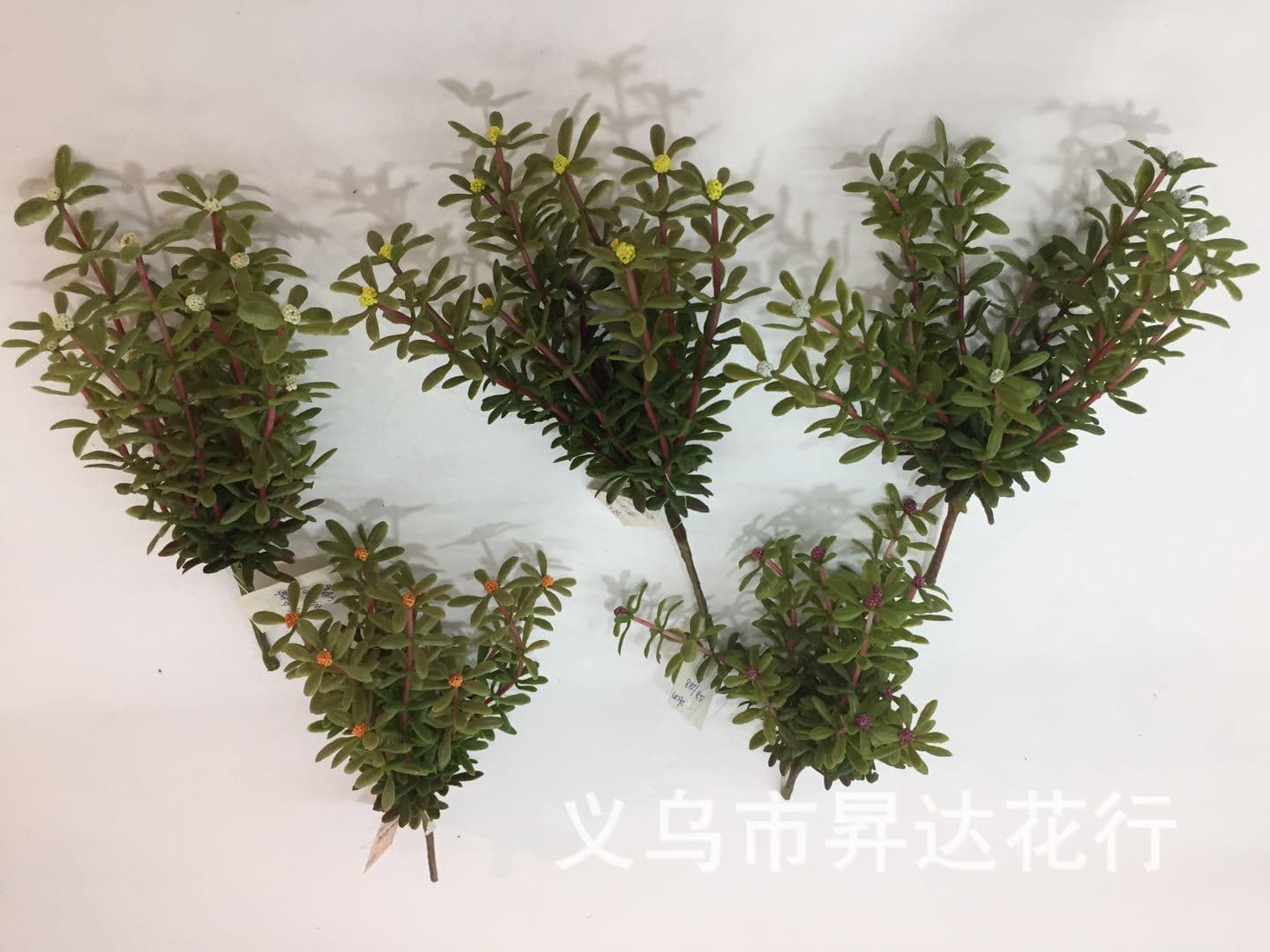 Factory direct sales of artificial green plants, myrtle, hand-finished glued potted plants, decorative flower arrangements, home artificial flowers, wholesale.