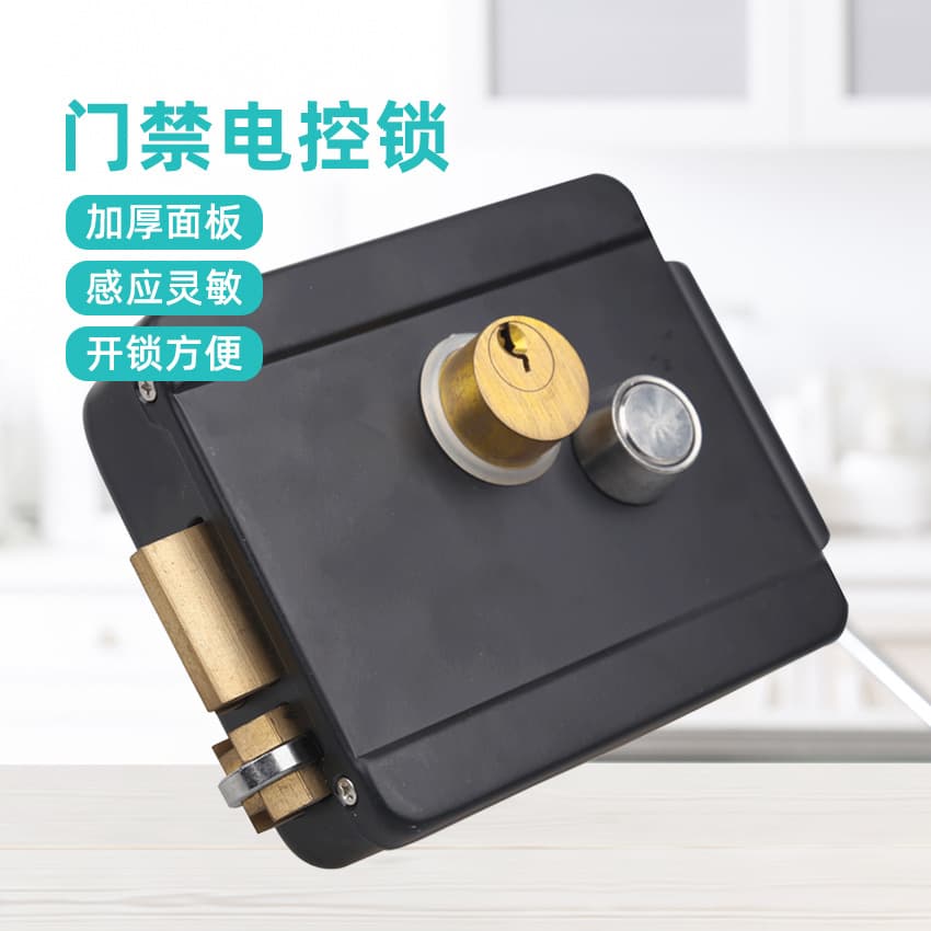 Rizhong Electric Lock, Household Indoor Anti-Theft Double-Head Integrated Electric Lock, Spray-Painted Black, Copper Door Access Control Lock, Factory Wholesale