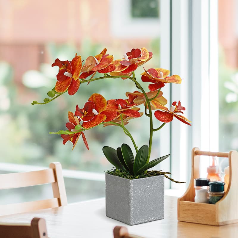 Phalaenopsis Artificial Flower Set Bonsai Fake Flower Orchid Living Room TV Cabinet Potted Plant Decoration Hand Flower Ornaments