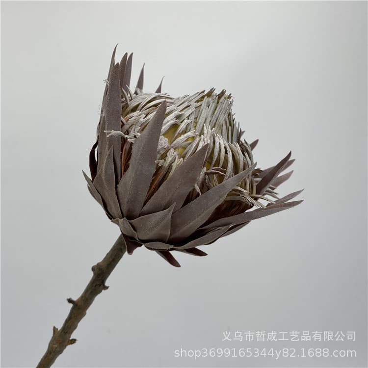 Artificial flower dry tropical plant emperor flower artificial flower living room floor flower display table sample room flower arrangement