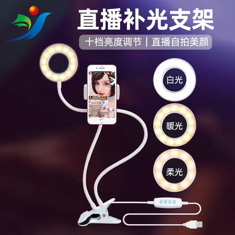 TikTok Live Stream LED Selfie Ring Light Beauty Fill Light with Phone Holder Clip Dual-Color Desk Lamp