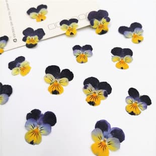 Pansy Viola Tricolor Viola DIY Bookmark Greeting Card Material Scented Candle Dried Flower Preserved Flower Epoxy Phone Case Pressed Flower