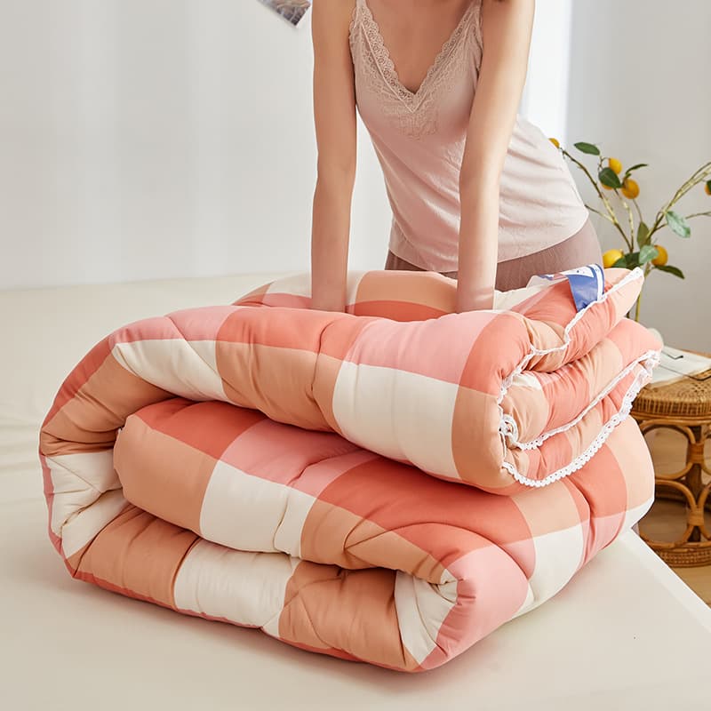 New Washed Cotton Winter Quilt, Spring/Autumn Quilt, Thickened Winter Quilt Core, Winter Blanket, Factory Wholesale, Group Buying, Drop Shipping