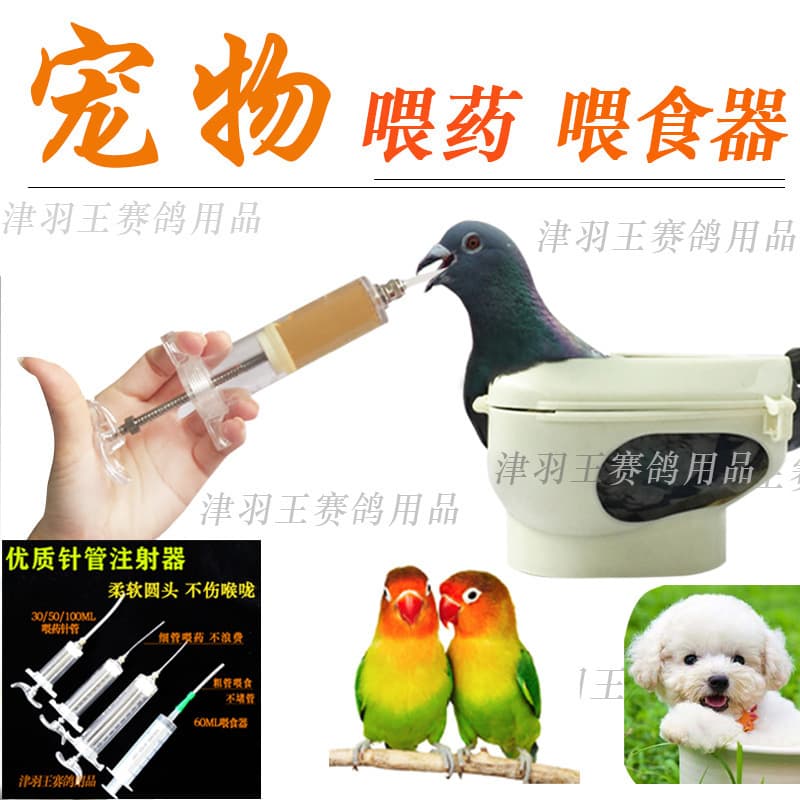 Jinyu Wangge Pet Dog Cat Pigeon Parrot Chick Liquid Feeder Syringe Needle Tube Injector Medicine Feeder