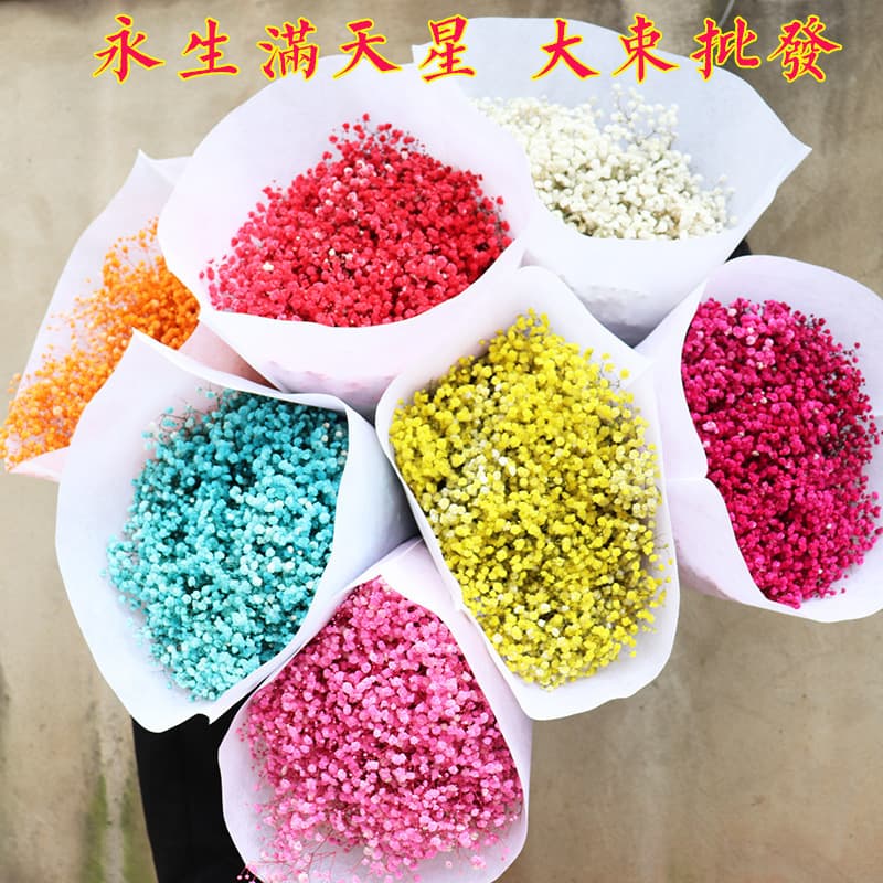 Everlasting Starry Sky Dried Flowers Everlasting Flower Dried Flower Starry Sky Qixi Festival Gift