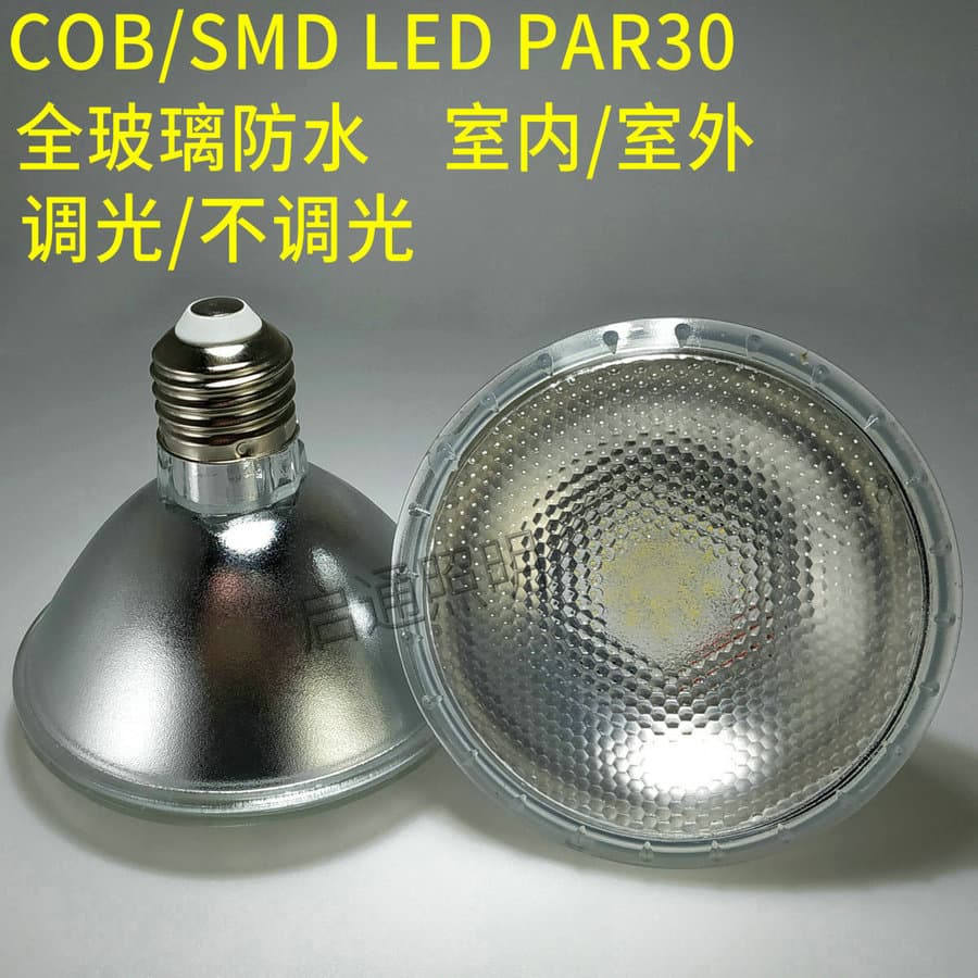 PAR30 Glass Bulb 12W Waterproof Dimmable LED Spotlight, Warm White/Cool White, Wide Voltage