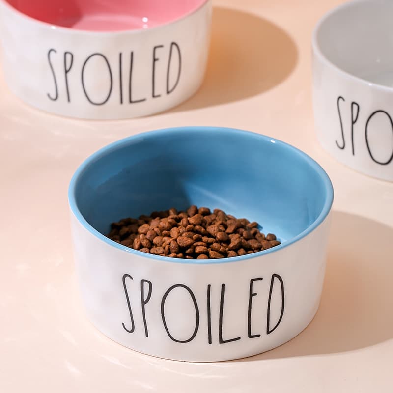 Creative Color-Contrast English Pet Bowl Ceramic Water Bowl Cat Bowl Dog Bowl Small Medium Large Kitten Food Bowl Dog Supplies