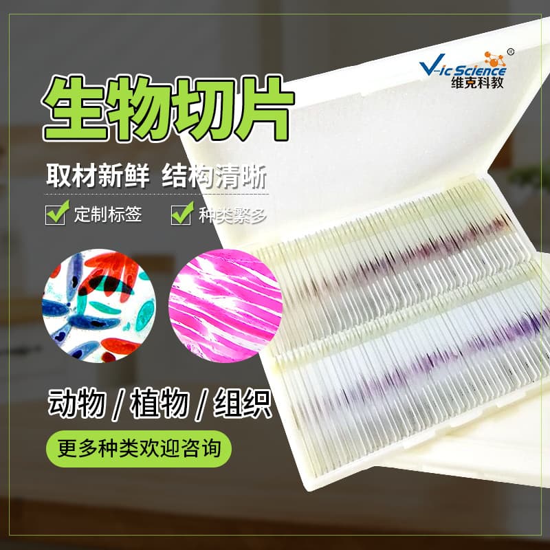 Microscope-Compatible Slide Specimens - Animal and Plant Cell Tissue Sections 200 Types - Biological Slides