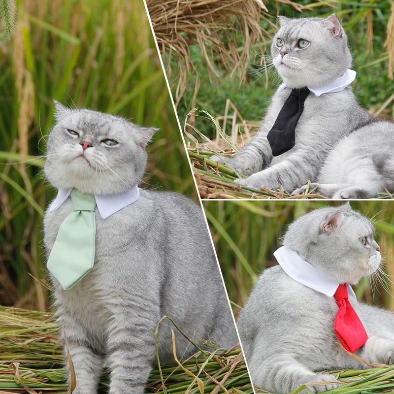 Trendy Cotton Dog Ties Pet Supplies Cute Pet Gentleman Black Striped Ties Seasonal Red For Cats Dogs