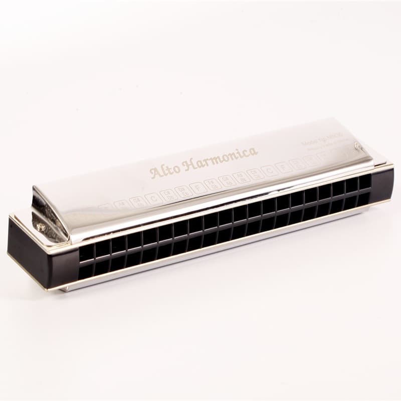 Dongfang Ding alto harmonica ensemble harmonica adult band performance group performance instrument