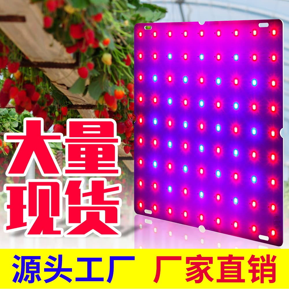 Qianrun Lighting LED Quantum Board Full Spectrum Plant Growth Light for Indoor Succulents and Seedlings
