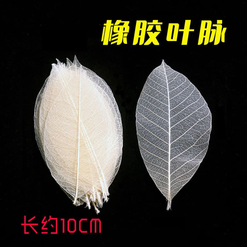 Natural Rubber Leaf Vein Craft Hanging Picture Frame Leaf Vein Bookmark Pressed Flower Wall Decoration Rustic Style