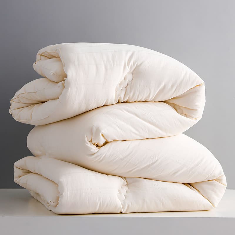 Four-Season Soybean Egg Velvet All-Cotton Embroidered Spring Autumn Quilt Core Simple Solid Color Quilt Single/Double Warmth Bedding