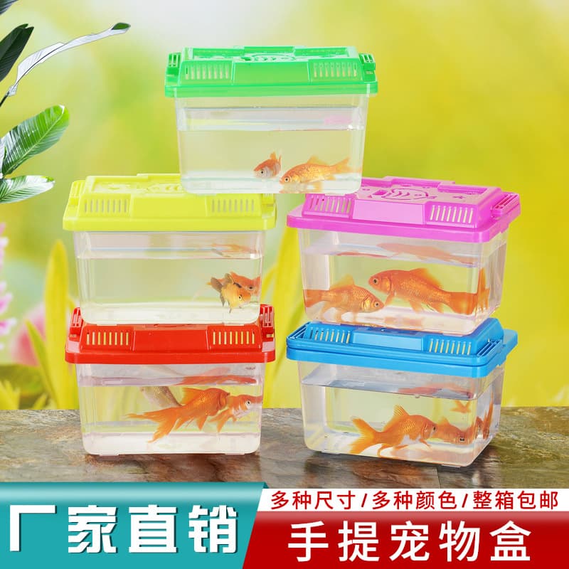 Large, Medium, Small Handheld Plastic Fish Tank Turtle Tank Tortoise Tank Water Turtle Tank Plastic Tank Amphibious Turtle Tank Wholesale