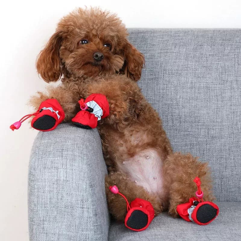 Dog Shoes Soft Bottom Breathable Waterproof Non-slip Small Dog Teddy Spring Autumn Winter Outdoor Pet Shoe Covers Rain Shoes