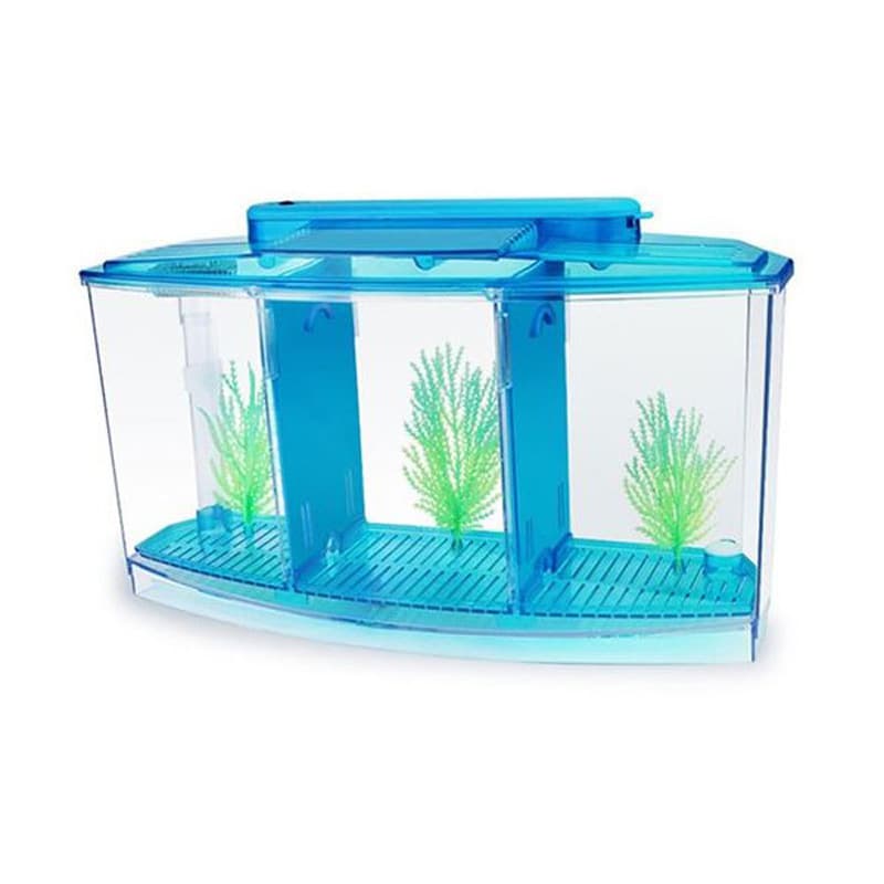Mini Small Fish Tank Aquarium Bucket Fish Box Bucket Fish Tank Office Fish Farming Small Tropical Fish Tank Fish Fry Hatch