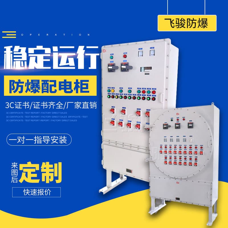 Custom Explosion-Proof Power Distribution Cabinet PLC Explosion-Proof Control Cabinet Explosion-Proof Electrical Cabinet Variable Frequency Drive Explosion-Proof Electrical Control Cabinet