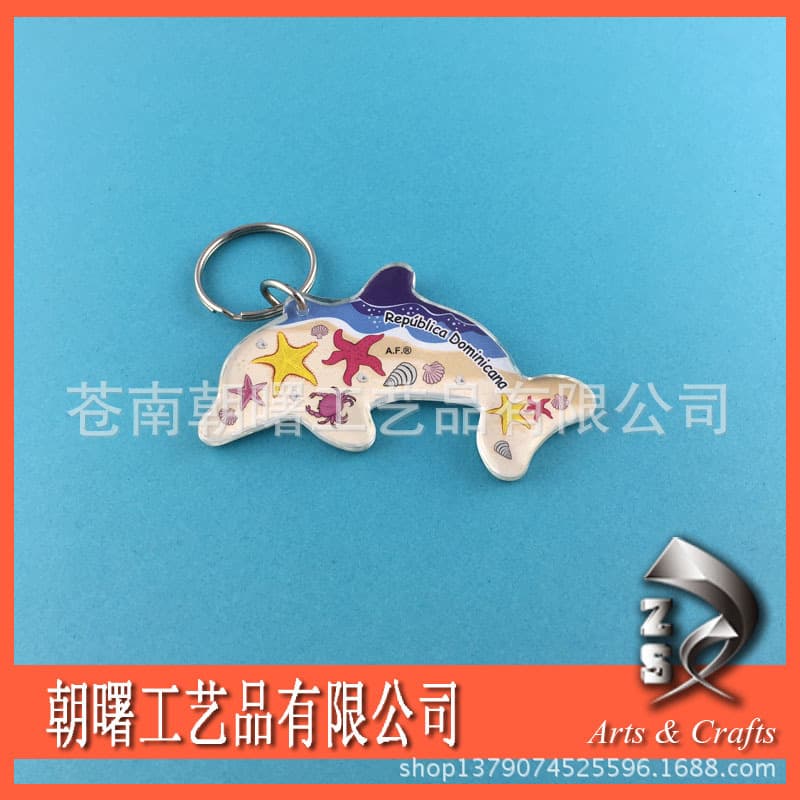 PS Plastic Keychain Pendant, PVC Plastic Keychain Pendant, Creative ABS Plastic Keychain