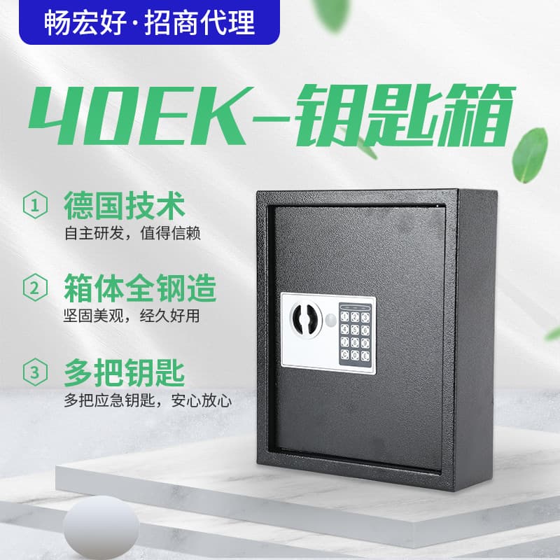 Strictly Selected Tailaishi Key Storage Cabinet Safe with Lock, Flat Key Management Storage Safe