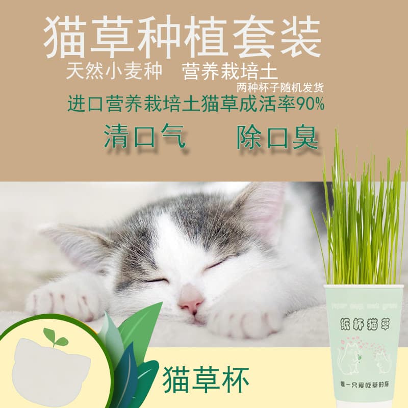 Cat Grass Growing Kit Hairball Remover Cat Snack Cat Grass Cup Milk Tea Cat Grass Cup Cat Grass Set