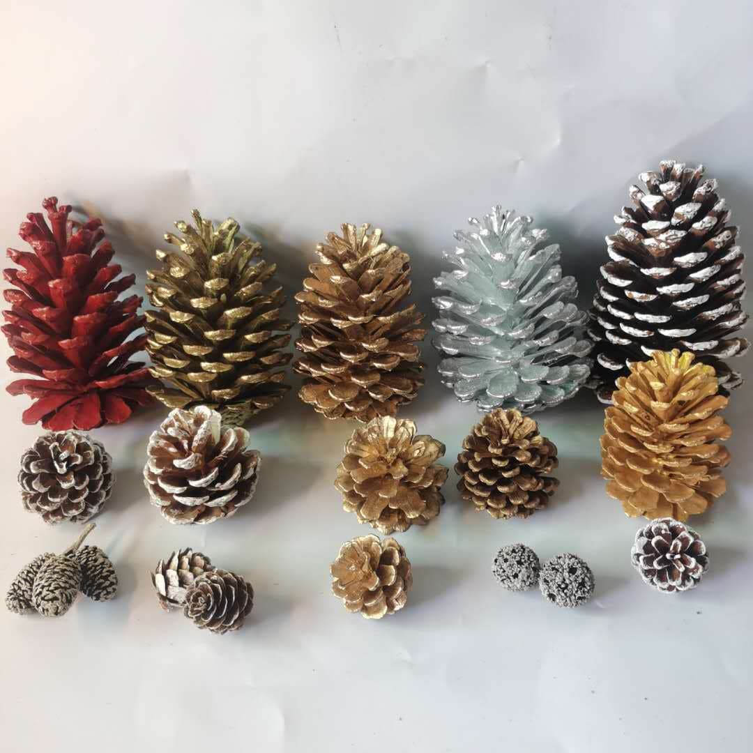 White-painted pine cones, snowflake pine cones, dyed white paint, Christmas tree decoration, vase flower arrangement decoration, snow-white pine cones manufacturer wholesale