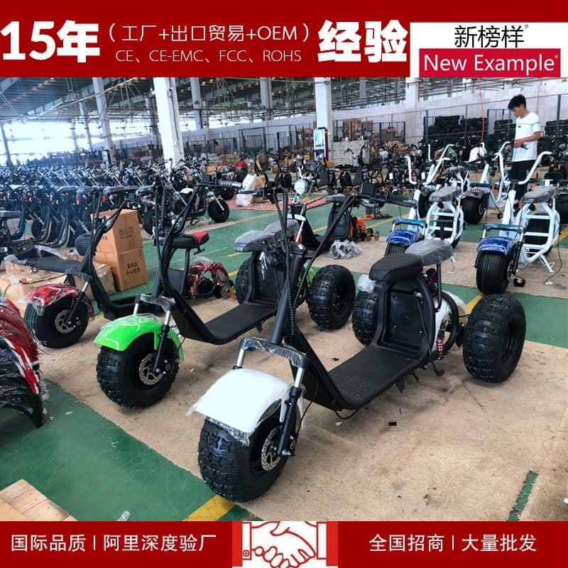Electric Scooter Citycoco 3 Wheel Electric Bike Harley Electric