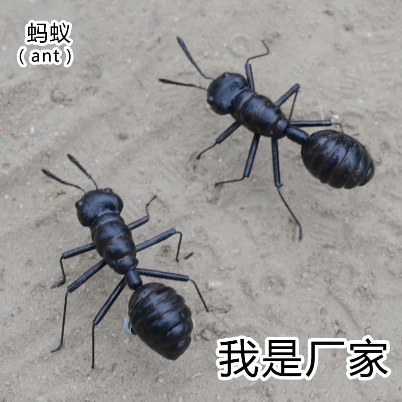 High Simulation Insects Ant Magnetic Refrigerator Magnet Teaching Model Micro Landscape Decoration Factory Direct