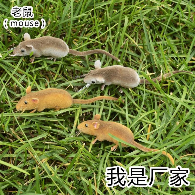 Highly Realistic Insects, Mice, and Rodents for Micro-Landscape Decor, Teaching Models, and Fridge Magnets, Direct from Manufacturer