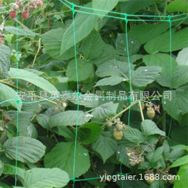 Customized plant climbing net luffa cucumber climbing net green gardening net